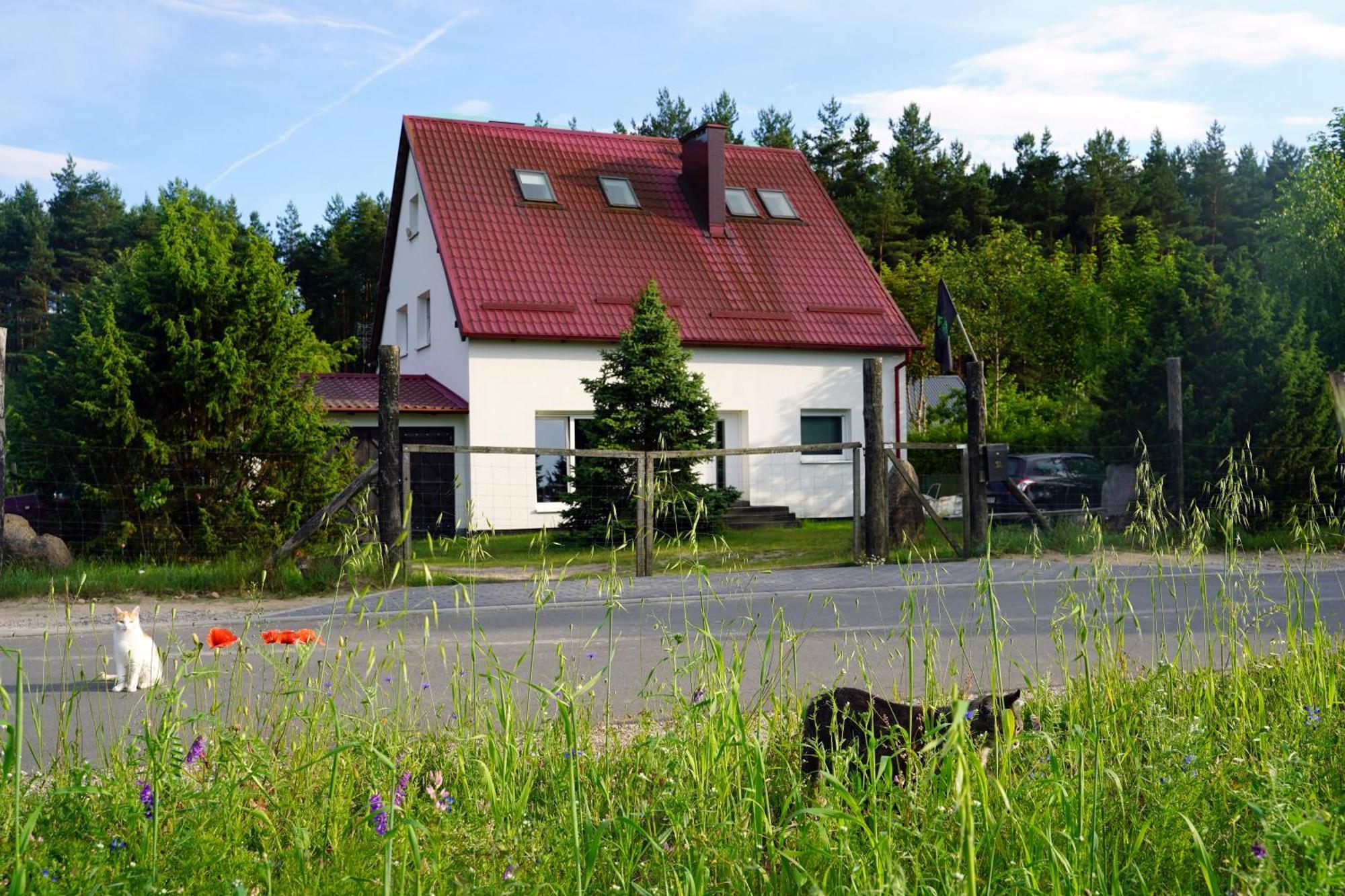 Leśna Kryjówka Apartamento Trzebciny Exterior foto